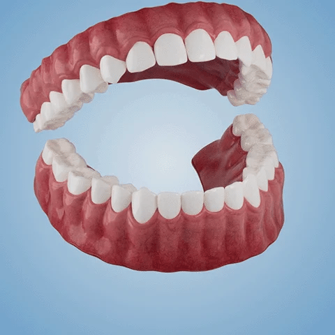 DentureSet Pro | Complete Denture Set