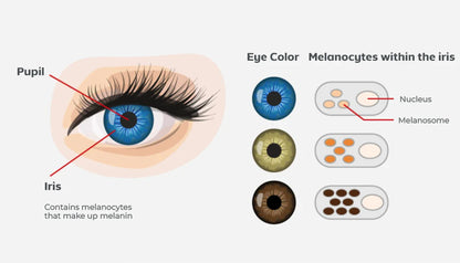 AQA™ SpectraEye – Eye Drops to Change Eye Colour